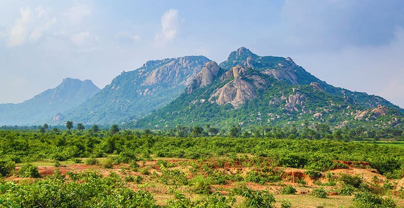 best resort in Corbett